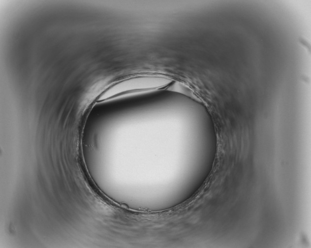 X0000095890005200801251213