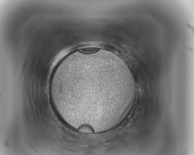 X0000095890006200801251213