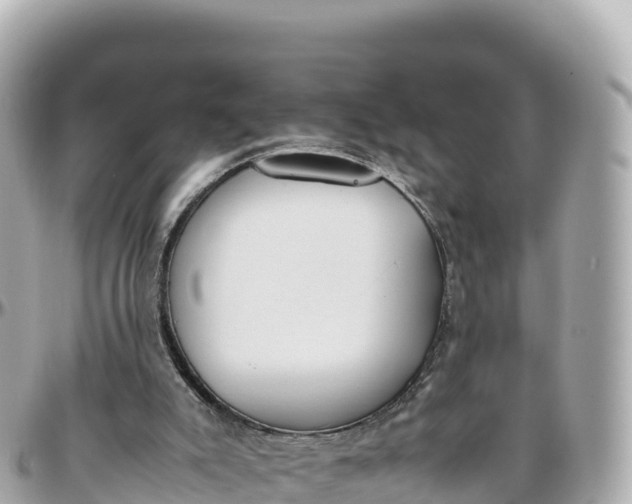 X0000095890007200801251213