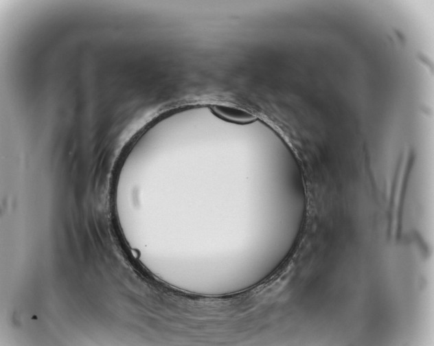 X0000095890008200801251213