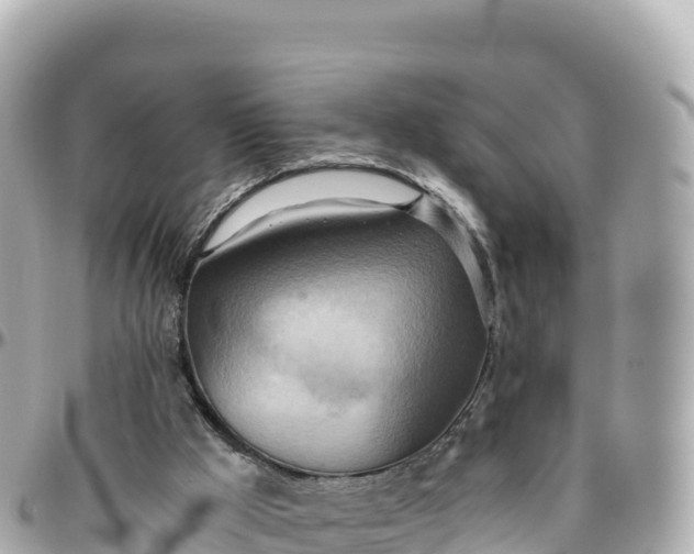 X0000095890009200801251213