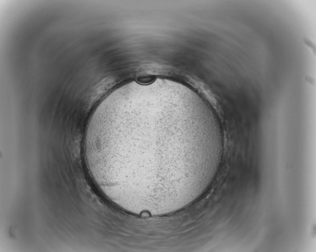 X0000095890010200801251213