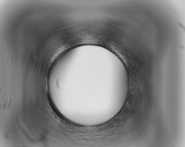 X0000095890011200801251213