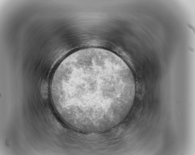 X0000095890012200801251213