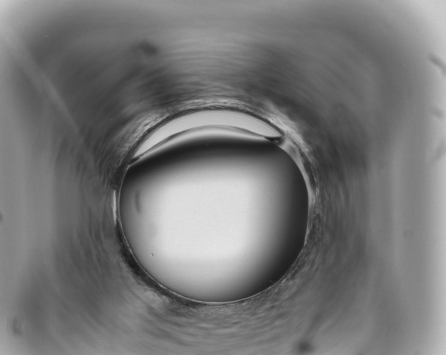 X0000095890013200801251213