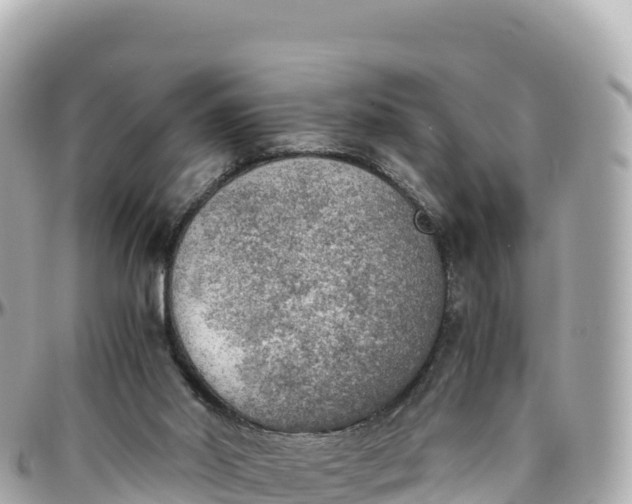 X0000095890014200801251213