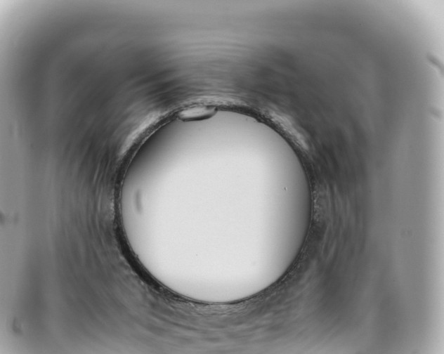 X0000095890015200801251213