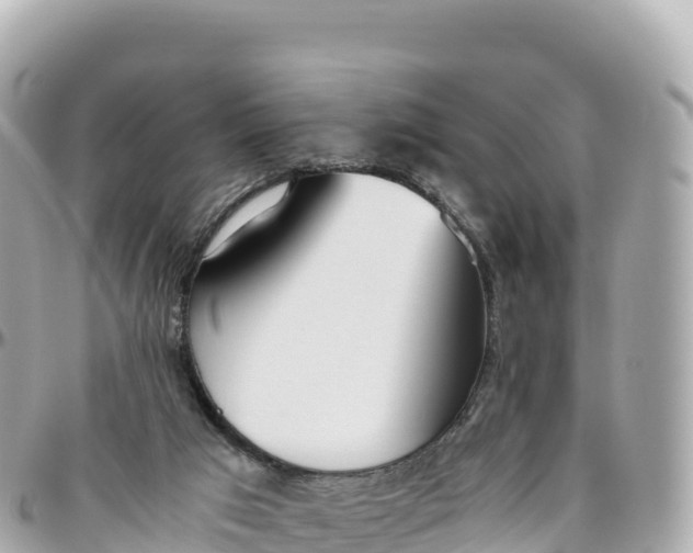 X0000095890017200801251212