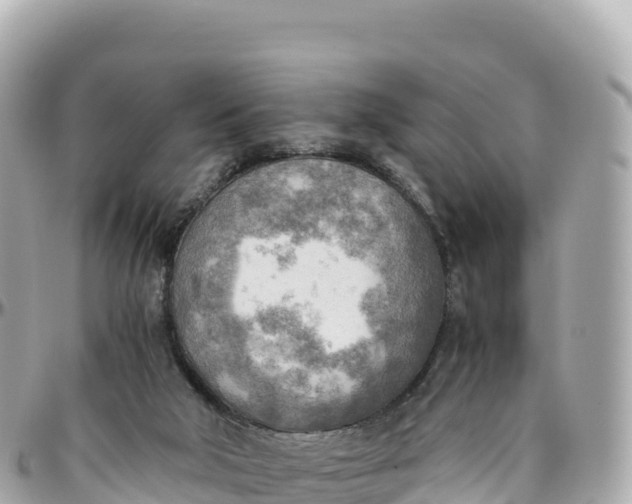 X0000095890018200801251212