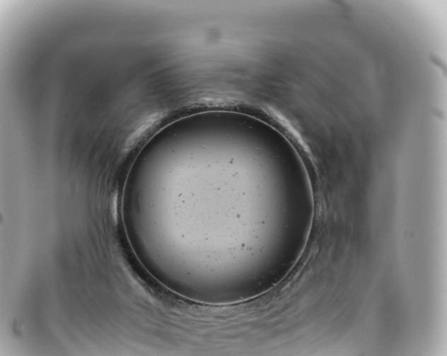 X0000095890019200801251212