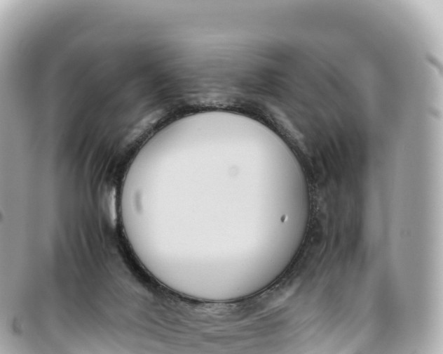 X0000095890020200801251212