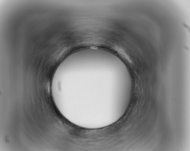 X0000095890021200801251212