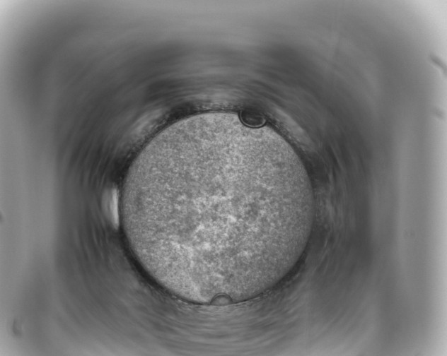 X0000095890022200801251212