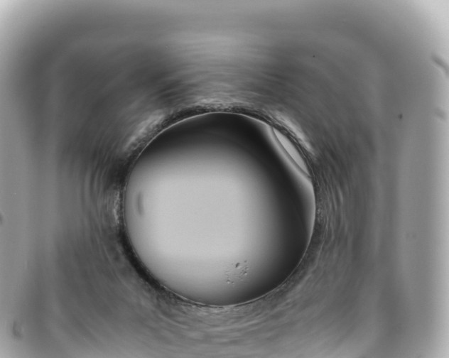 X0000095890023200801251212