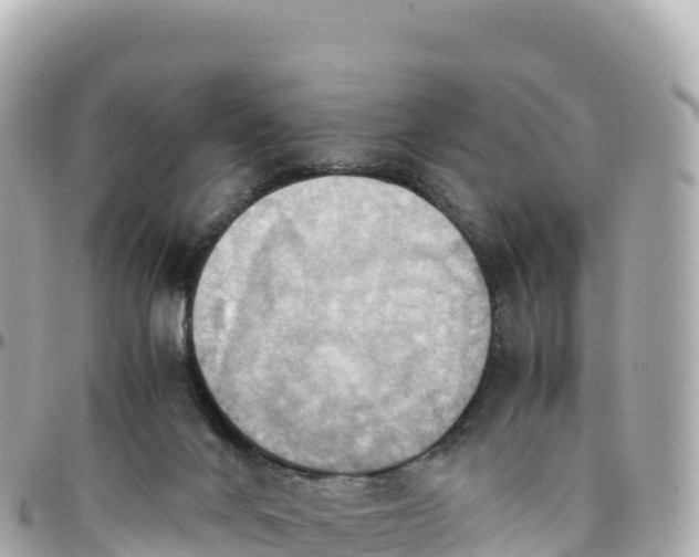 X0000095890024200801251212