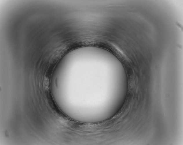 X0000095890025200801251212