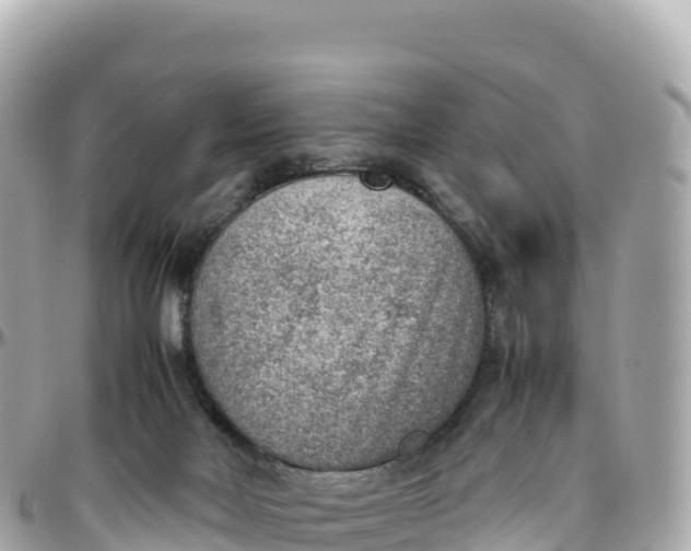 X0000095890026200801251212