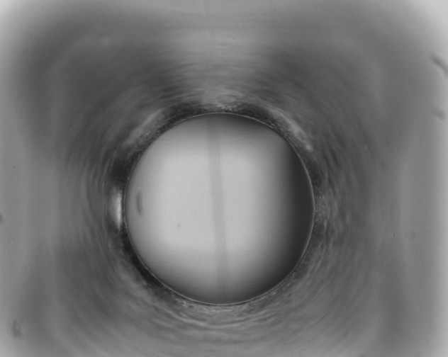 X0000095890027200801251212