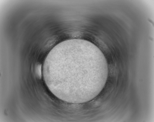 X0000095890028200801251212