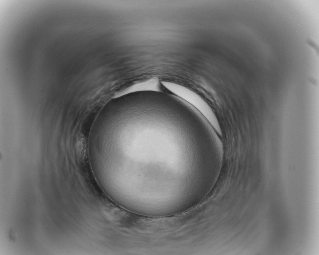 X0000095890029200801251212