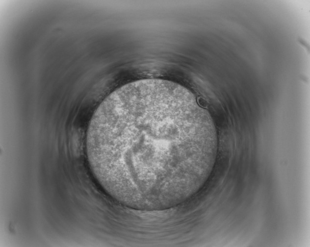 X0000095890030200801251212