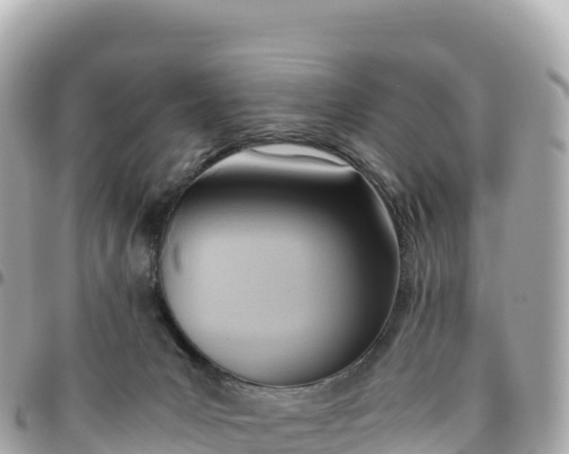 X0000095890031200801251212