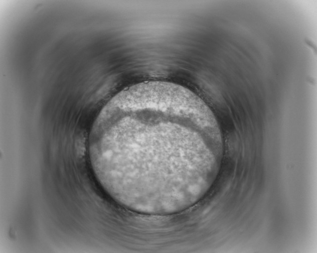 X0000095890032200801251212