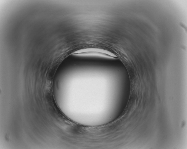 X0000095890033200801251212