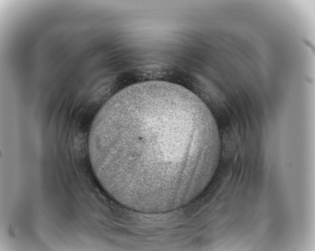 X0000095890034200801251212