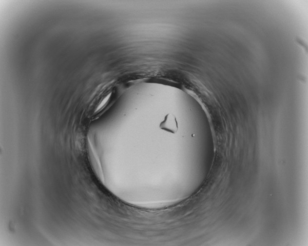 X0000095890035200801251212