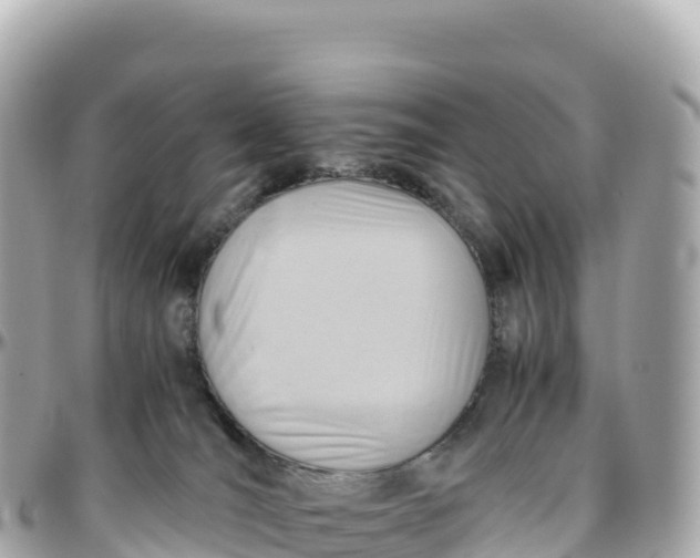 X0000095890036200801251212