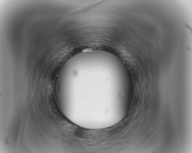 X0000095890037200801251212