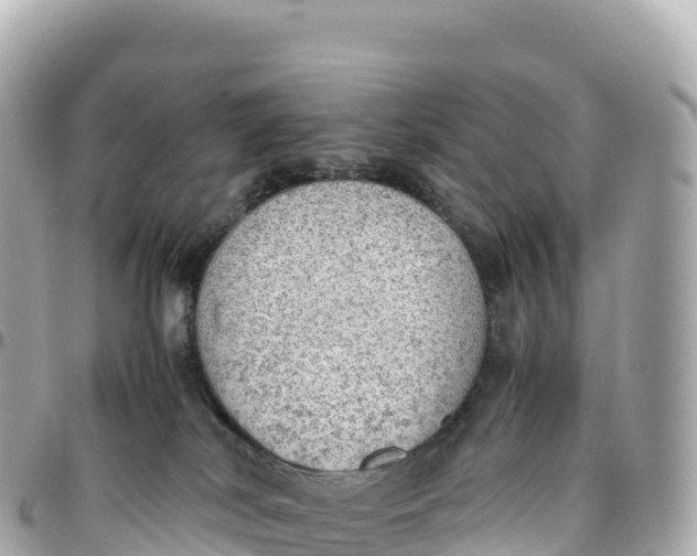 X0000095890038200801251212