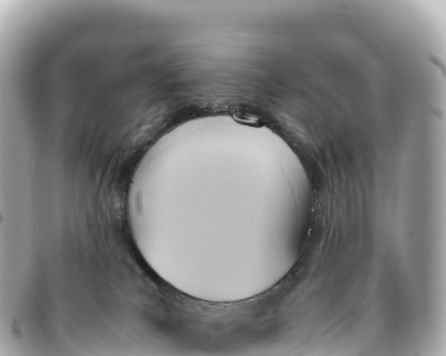 X0000095890039200801251212