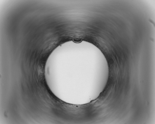 X0000095890040200801251212