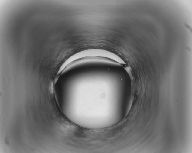 X0000095890041200801251212