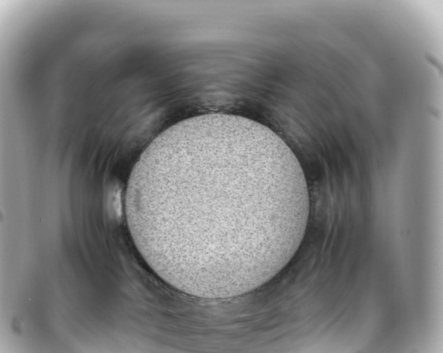 X0000095890042200801251212