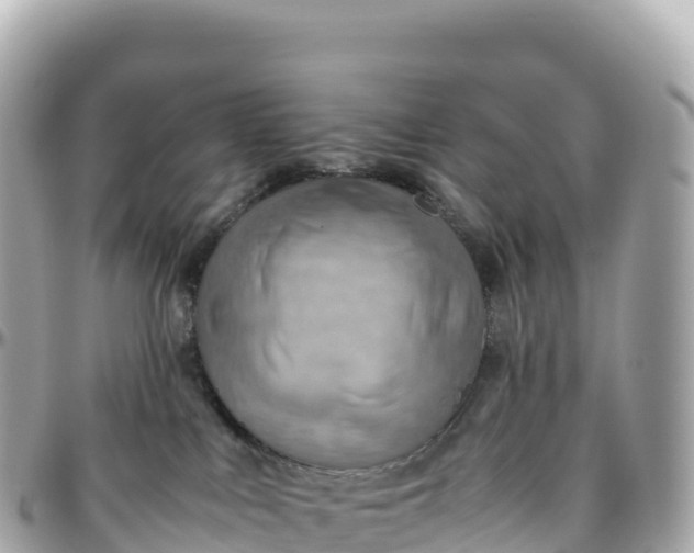 X0000095890043200801251212