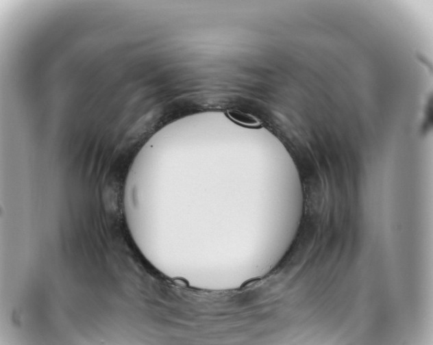 X0000095890044200801251212