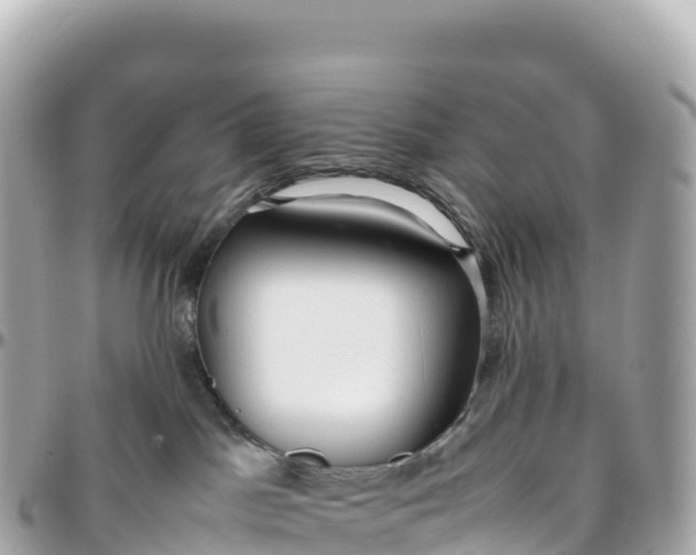 X0000095890045200801251212