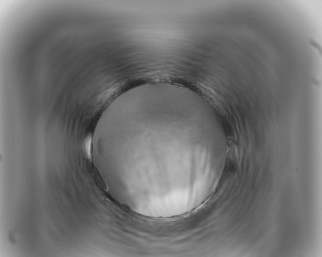 X0000095890047200801251212