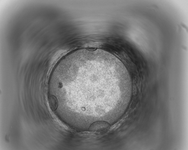 X0000095890049200801251211