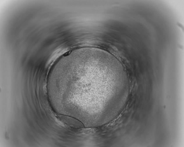 X0000095890050200801251211