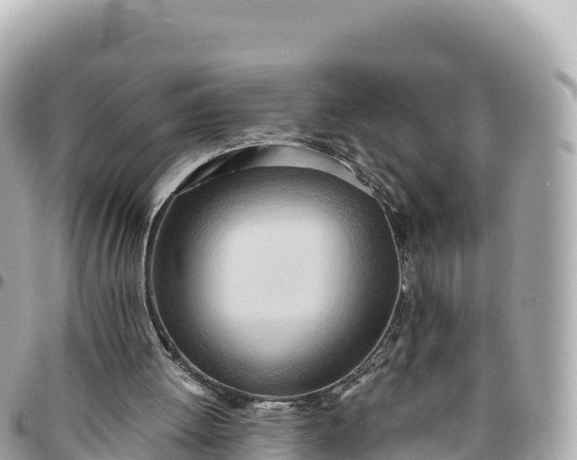 X0000095890052200801251211