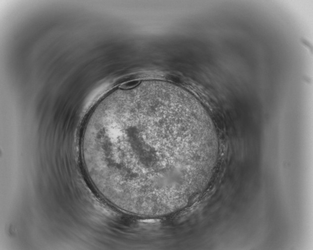 X0000095890053200801251211