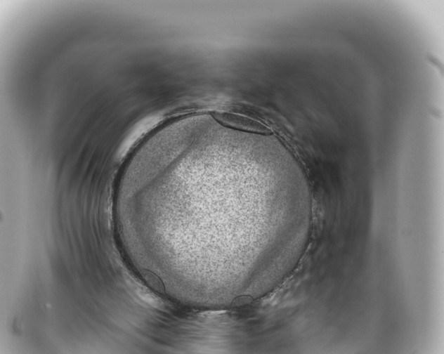 X0000095890054200801251211