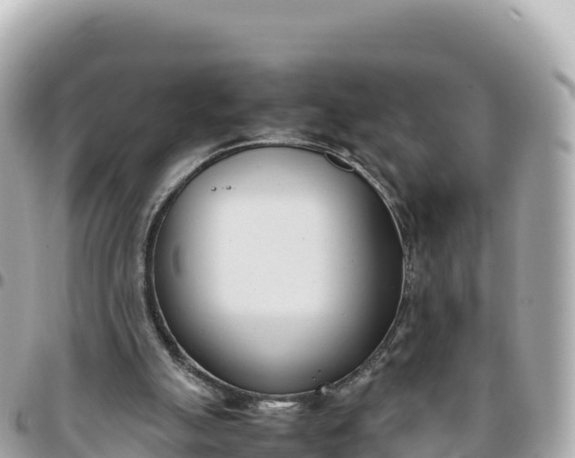 X0000095890055200801251211