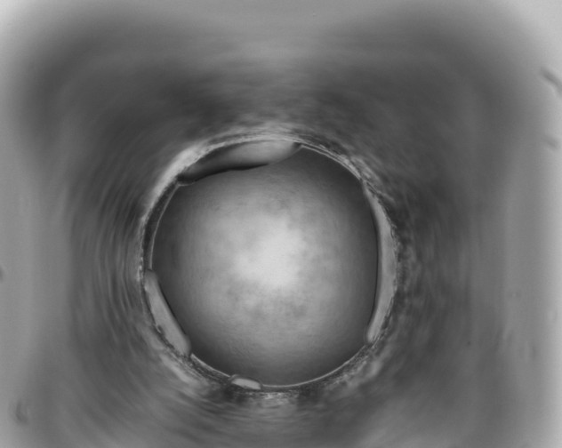 X0000095890056200801251211