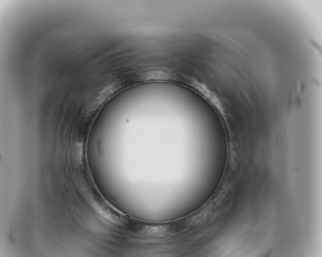 X0000095890057200801251212