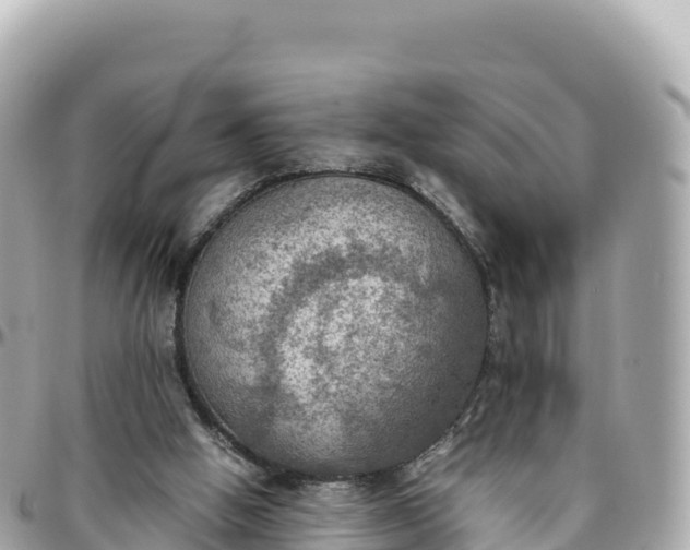 X0000095890058200801251212